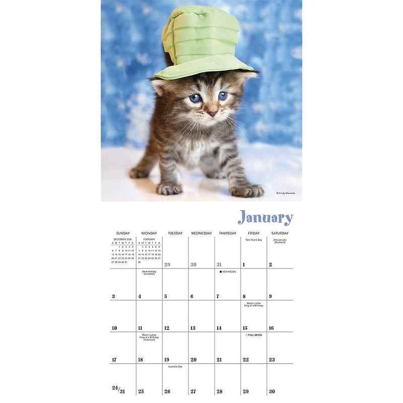 Cats in Hats 2027 Mini Calendar