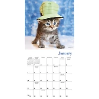 Cats in Hats 2027 Mini Calendar