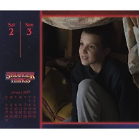 Stranger Things 2027 Box Calendar