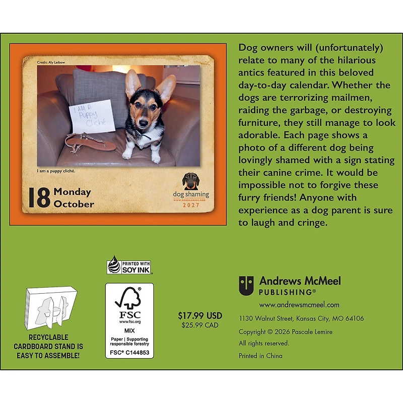 Dog Shaming 2027 Box Calendar