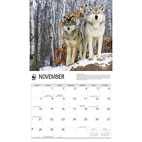 World Wildlife Fund Wolves 2027 Wall Calendar