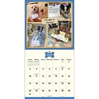 Dog Shaming 2027 Wall Calendar