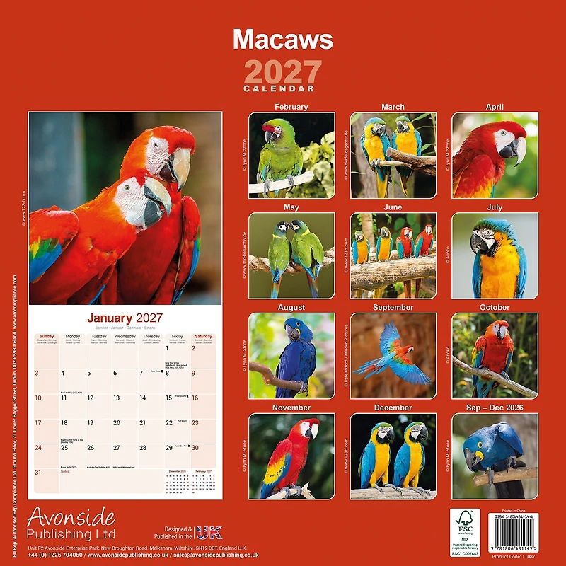 Macaws 2027 Wall Calendar