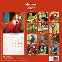 Macaws 2027 Wall Calendar