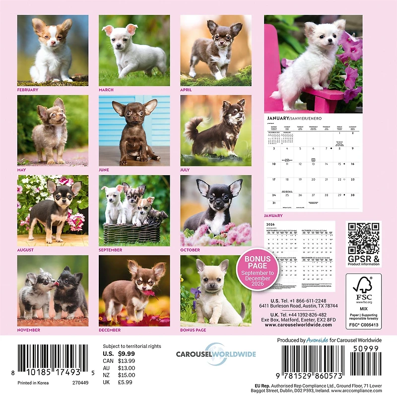 Chihuahua Puppies 2027 Mini Calendar