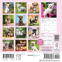 Chihuahua Puppies 2027 Mini Calendar