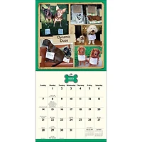 Dog Shaming 2027 Wall Calendar