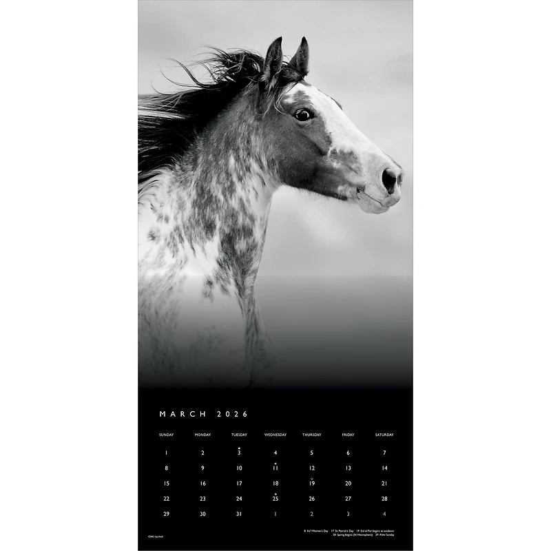 The Noble Horse 2026 Wall Calendar