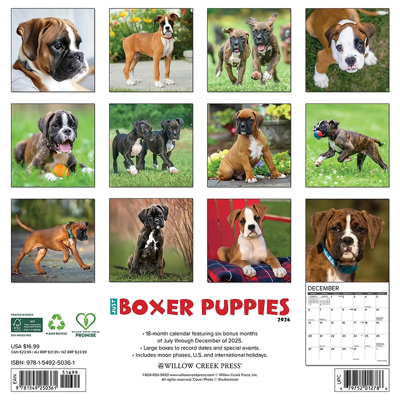 Just Boxer Puppies 2026 Wall Calendar