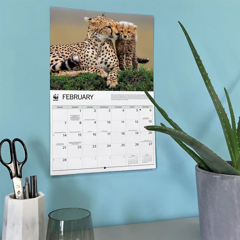 World Wildlife Fund Wild Cats 2027 Wall Calendar