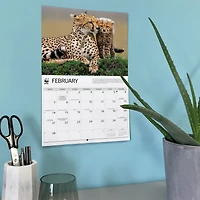 World Wildlife Fund Wild Cats 2027 Wall Calendar
