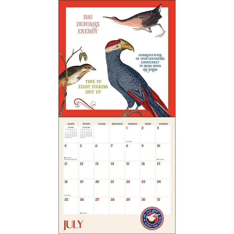 Effin' Birds 2027 Wall Calendar