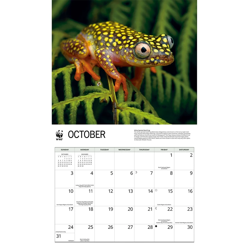 World Wildlife Fund Frogs 2027 Wall Calendar