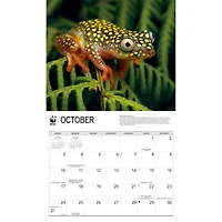 World Wildlife Fund Frogs 2027 Wall Calendar