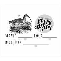 Effin' Birds 2027 Box Calendar