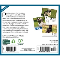 Just Pugs 2026 Box Calendar - Online Only