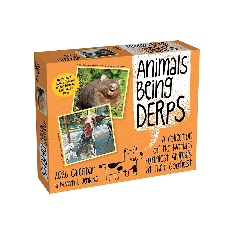 Animals Being Derps 2026 Box Calendar