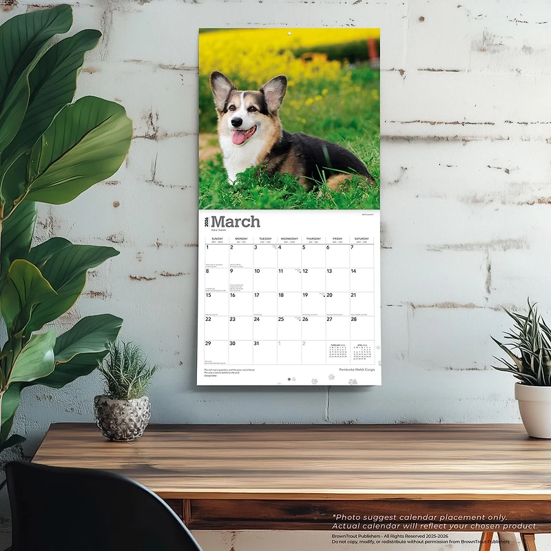 Welsh Corgis Pembroke 2026 Wall Calendar - Online Only