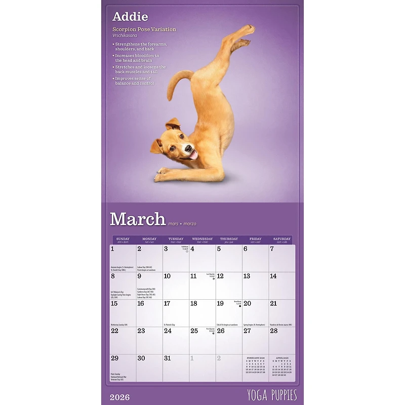 Yoga Puppies 2026 Mini Calendar