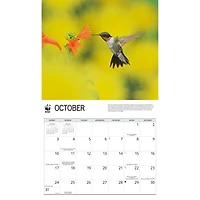 World Wildlife Fund Hummingbirds 2027 Wall Calendar