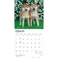 Shiba Inu 2027 Wall Calendar - Online Only
