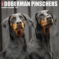 Doberman Pinschers 2027 Wall Calendar - Online Only