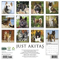 Akitas 2027 Wall Calendar - Online Only