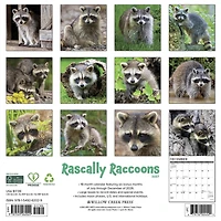Rascally Raccoons 2027 Wall Calendar