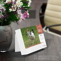 Chickens 2026 Box Calendar - Online Only