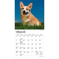 Welsh Corgis 2027 Mini Calendar