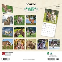 Donkeys 2026 Wall Calendar