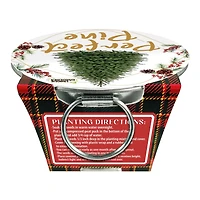 Perfect Pines 24 Piece