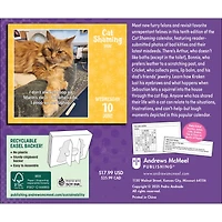 Cat Shaming 2026 Box Calendar