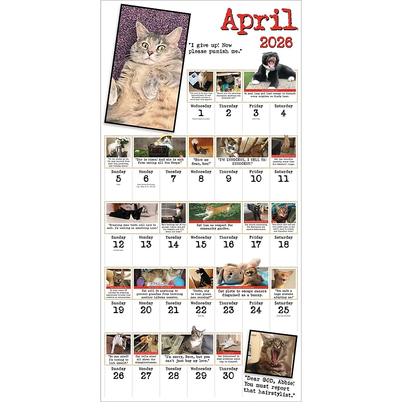 Bad Cat 2026 Wall Calendar - Online Only