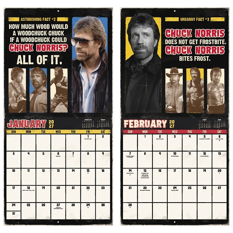 Chuck Norris 2027 Wall Calendar