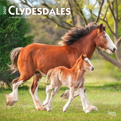 Clydesdales 2027 Wall Calendar - Online Only