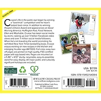 Crusoe The Celebrity Dachshund 2026 Box Calendar - Online Only