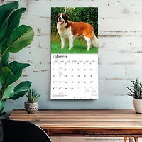 Saint Bernards 2027 Wall Calendar
