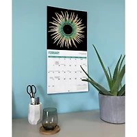 Jellyfish 2027 Wall Calendar