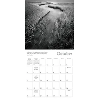 Zen of Nature 2026 Wall Calendar - Online Only