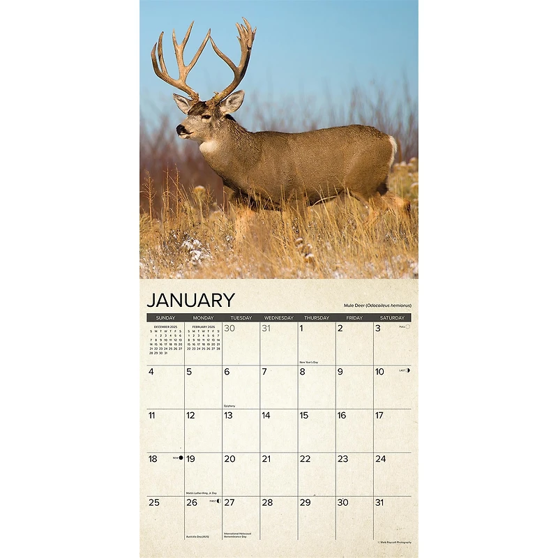Canadian Fish And Wild Game 2026 Wall Calendar