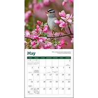 Songbirds 2027 Mini Calendar