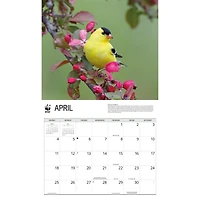 World Wildlife Fund Backyard Birds 2027 Wall Calendar