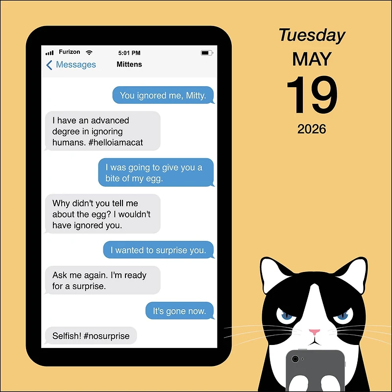 Texts From Mittens The Cat 2026 Box Calendar