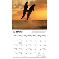 World Wildlife Fund Dolphins 2027 Wall Calendar