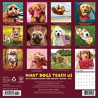What Dogs Teach Us 2026 Wall Calendar