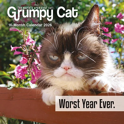 Grumpy Cat 2026 Mini Calendar