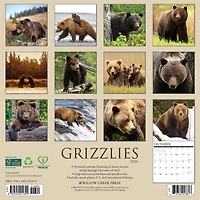 Grizzlies 2026 Wall Calendar