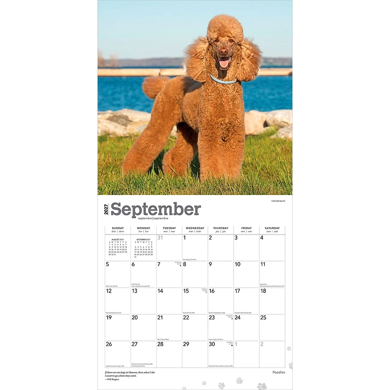 Poodles 2027 Wall Calendar