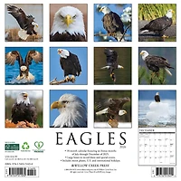 Eagles 2026 Wall Calendar - Online Only